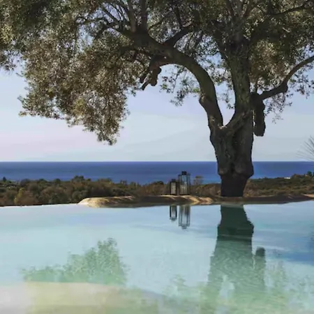 The Olive Grove Villa *