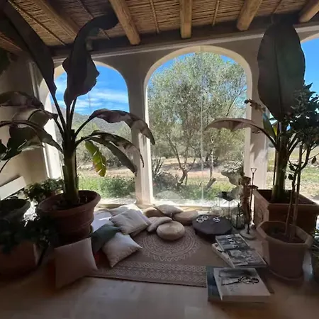 The Olive Grove Villa