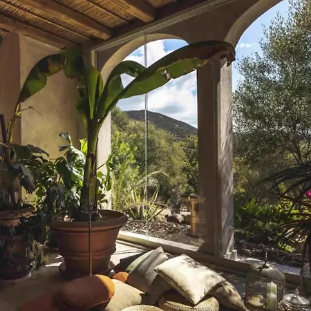 Villa The Olive Grove *