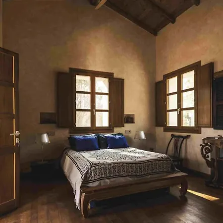 The Olive Grove Villa *