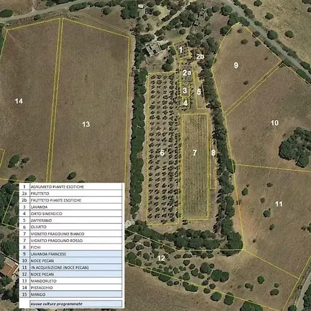 Villa The Olive Grove *