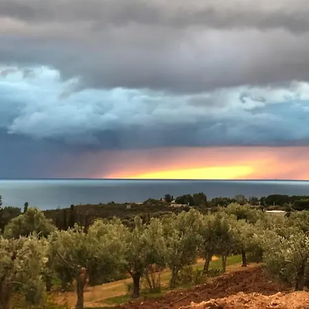 The Olive Grove Villa Quartu SantʼElena