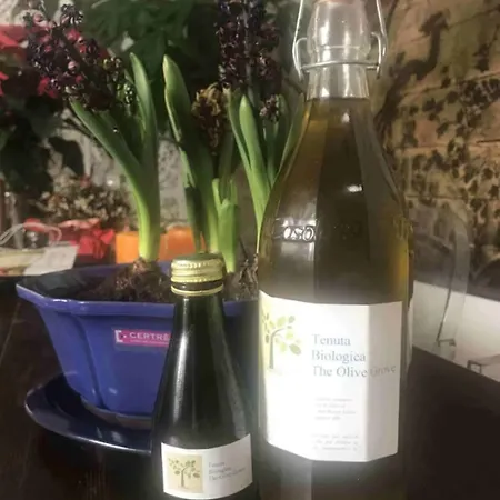 Villa The Olive Grove