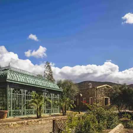 The Olive Grove Vila *